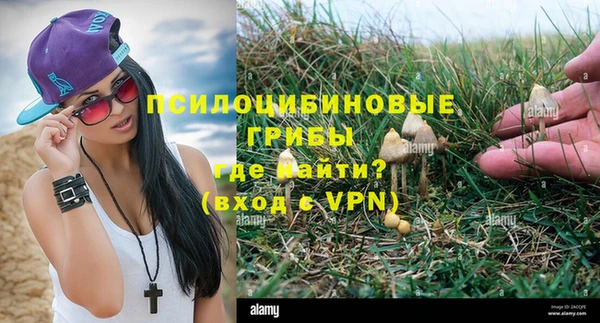 a pvp Нефтегорск