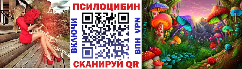 где купить наркоту  hydra ONION  Галлюциногенные грибы Psilocybine cubensis  Почеп 